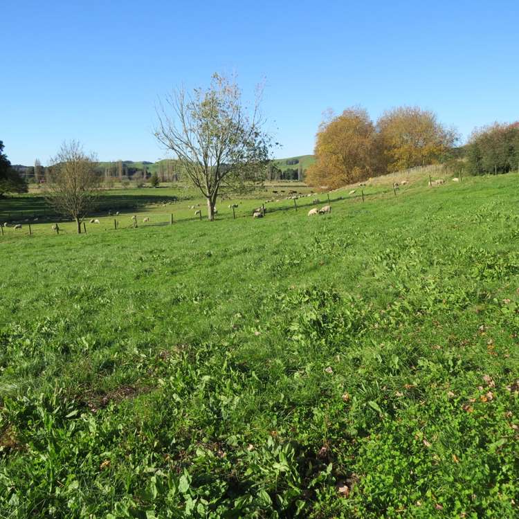 1370 State Highway 3 Te Kuiti_20