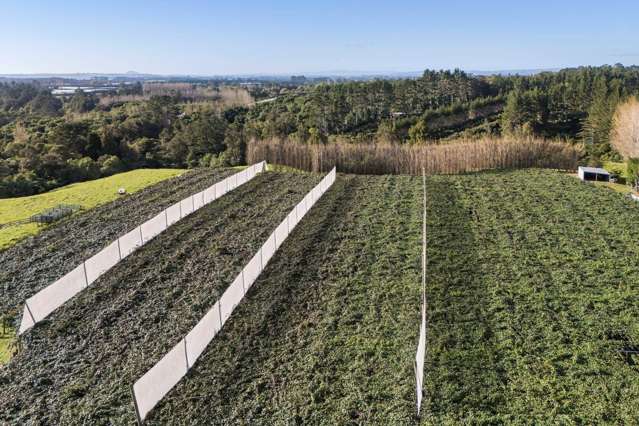 175 Busby Road Katikati_4