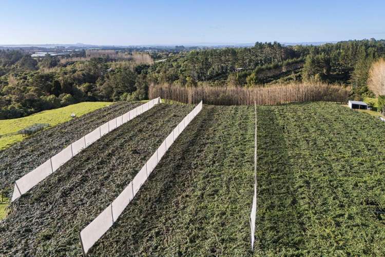 175 Busby Road Katikati_4