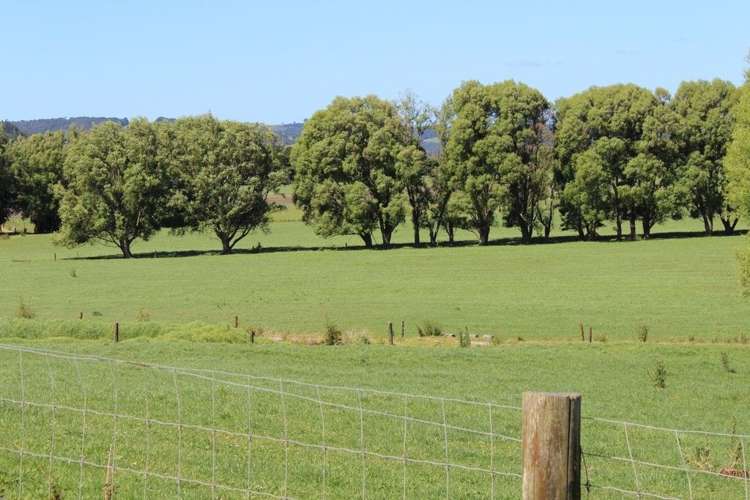 750 Hukerenui Road Hukerenui and Surrounds_10