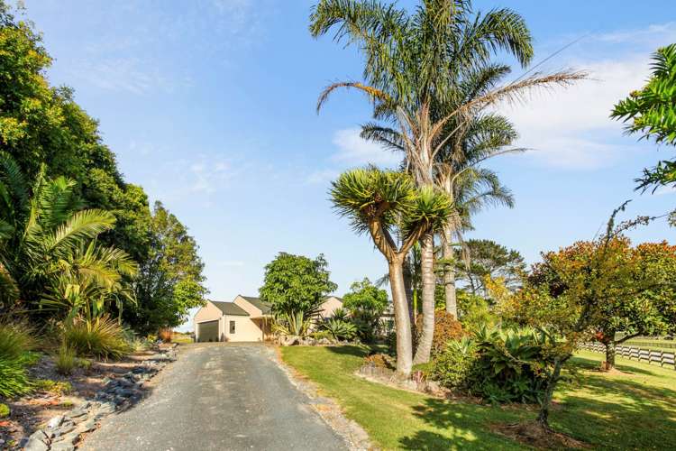 65 Zanders Road Helensville_21