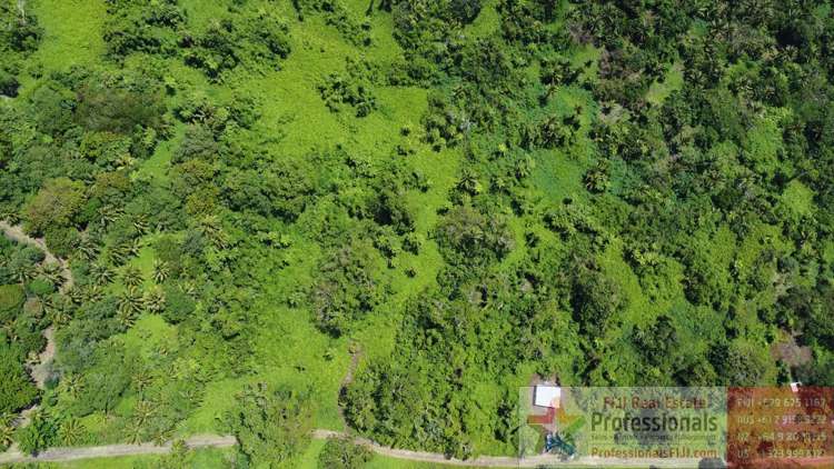 Address withheld Taveuni_7