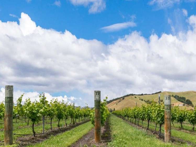 3516 State Highway 1 Riverlands_10