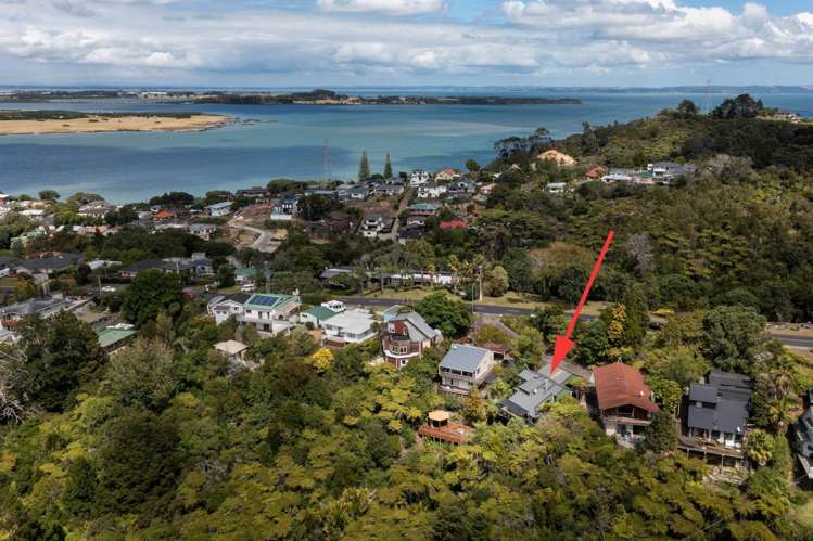 40 Goodall Street Hillsborough_17