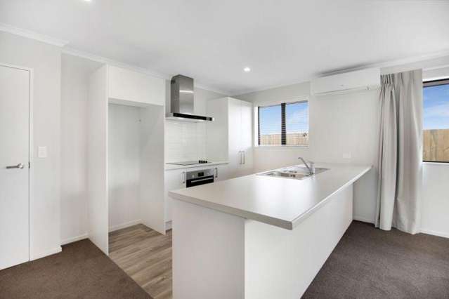 29 Ellesmere St Marshland_1