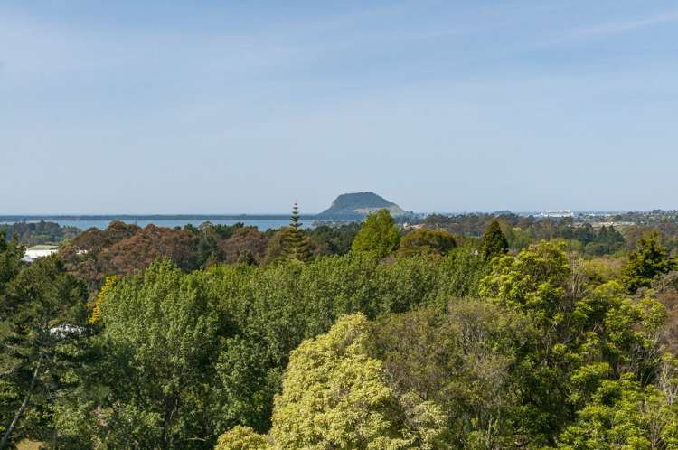 140b Minden Road Wairoa_5