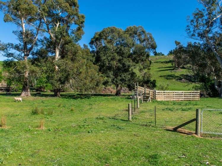 264 Hawkesbury Road Hawkesbury_13