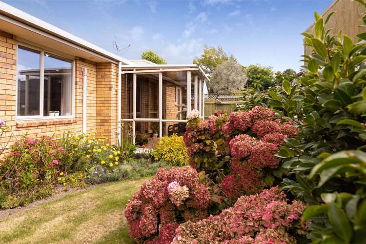 33b Litchfield Street Redwoodtown_1