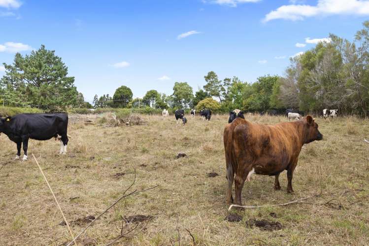 58 Punga Punga Road Pukekawa_3