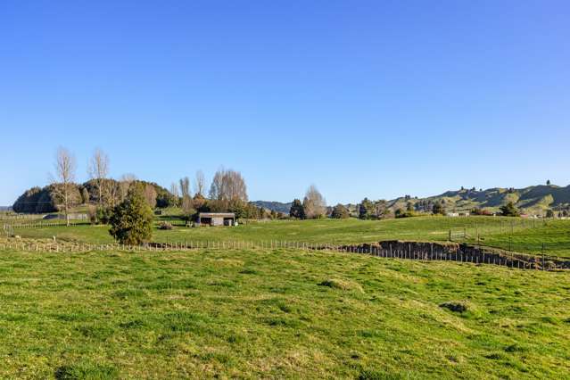 Kawautahi Road Owhango_2