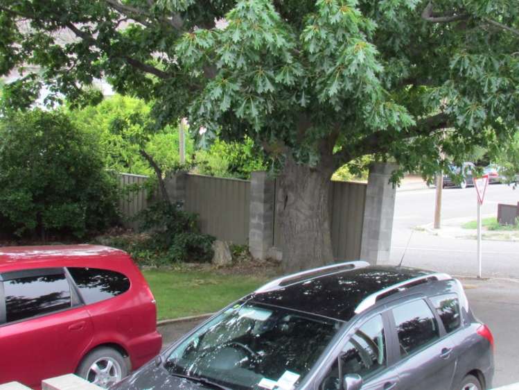 49 Horace Street Cromwell_7