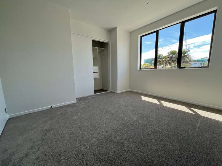 46 Elm Street Avondale_24