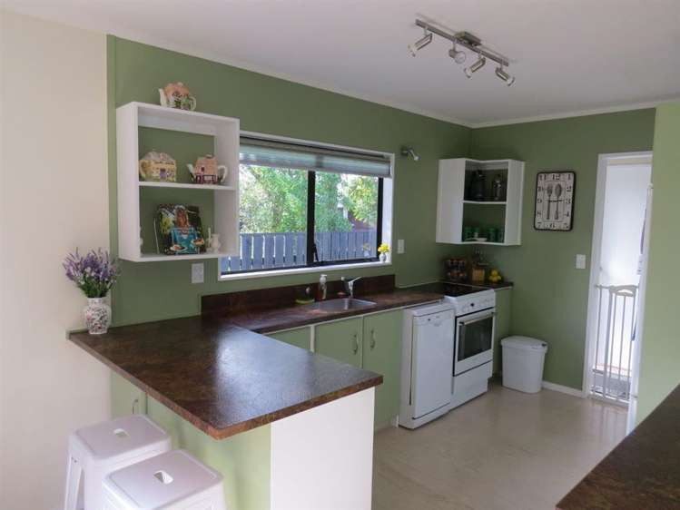 17a Martin Harvey Street Levin_3