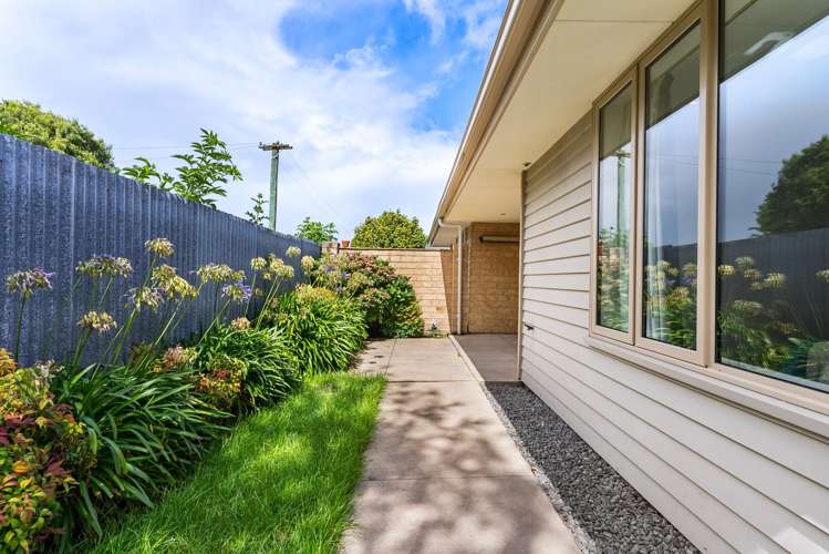 31C Morrison Avenue Northcote_17