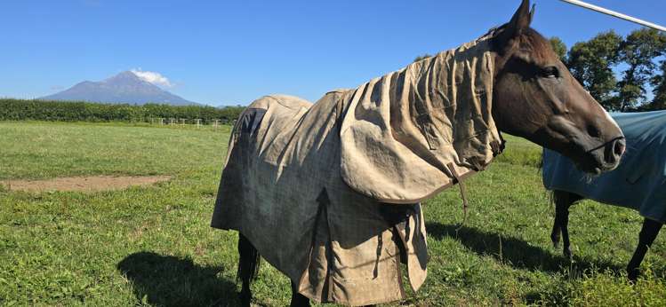 103 East Road Stratford_8