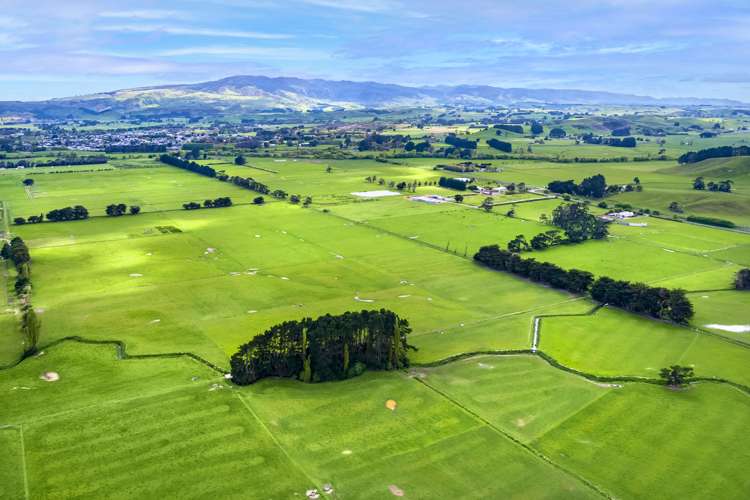 168 Range Road Woodville_10