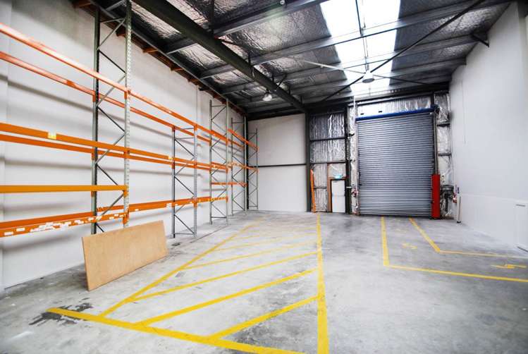 51 Normanby Road Mt Eden_2