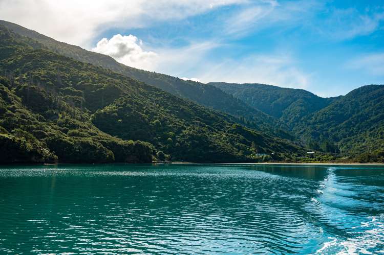 Endeavour Inlet Furneaux_13