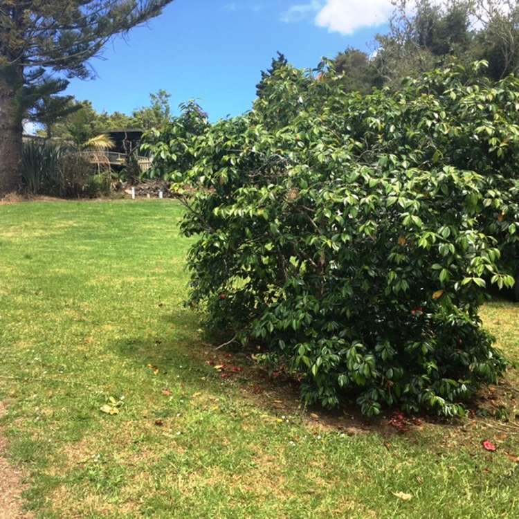 6224 State Highway 1 Moerewa_14