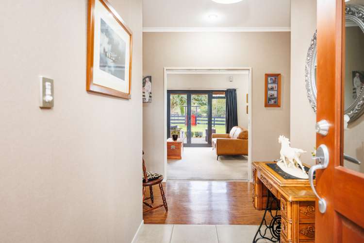 38 Brandon Hall Road Bulls_6