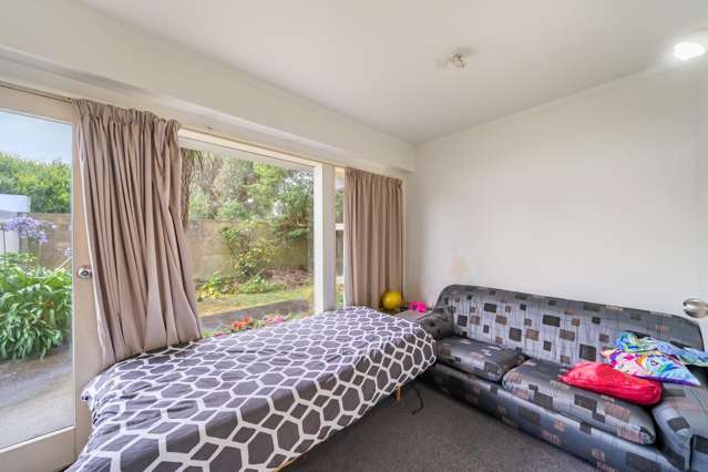 1/21 Britannia Street Petone_1