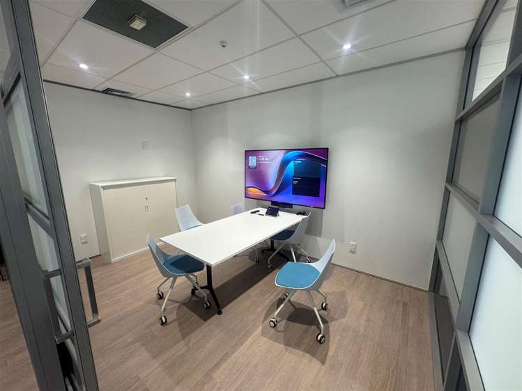 5 Wilkins Street Freemans Bay_5