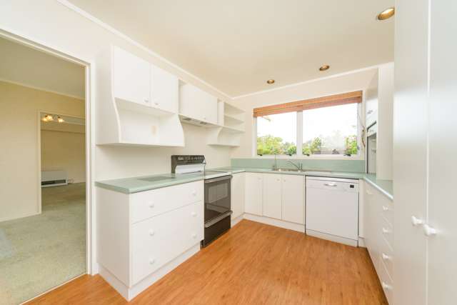 11a Anaru Place Awapuni_1