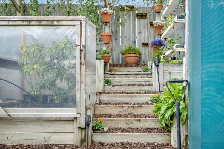 39 Karo Road Beachlands_34