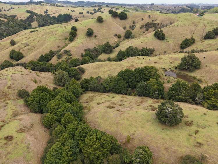290 Hillcrest Road Waiotira_20