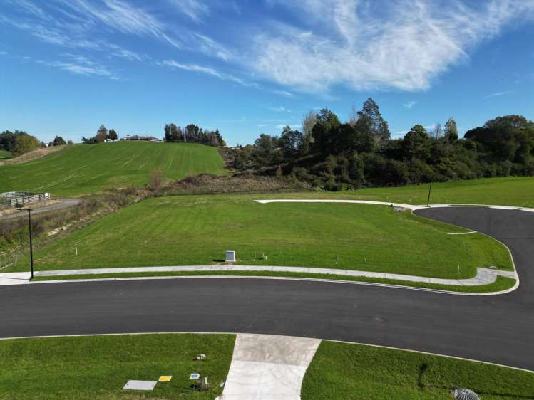 ** Ruru Downs Putaruru_15