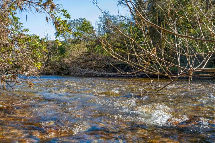 561 Opouri Road Rai Valley_23