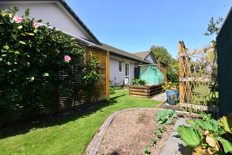 17/16 Rototuna Road Flagstaff_22