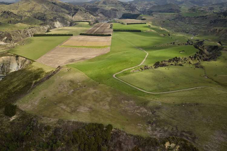 3717 Inland Kaikoura Road Mt Lyford_10