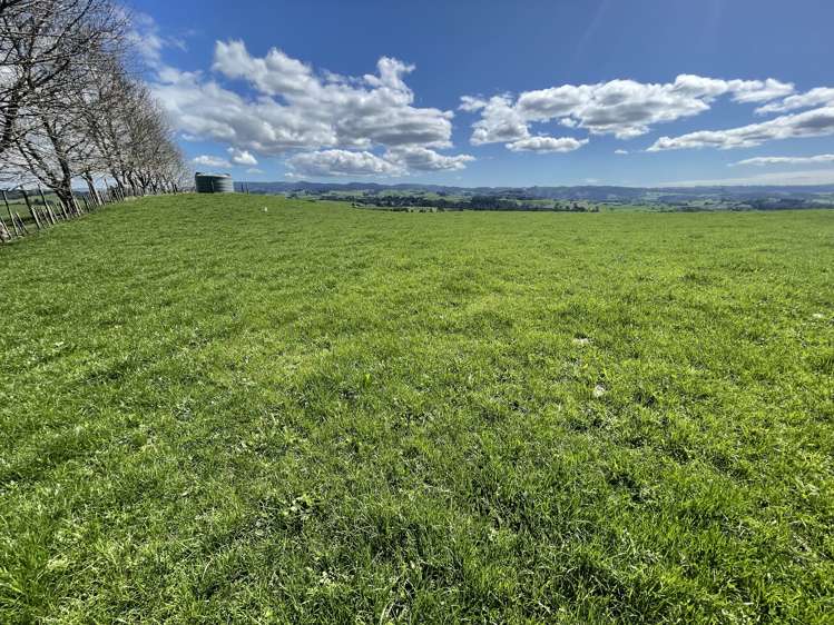 481 Honikiwi Road RD3 Otorohanga_21