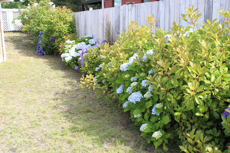 3 Ngahana Place Turangi_20