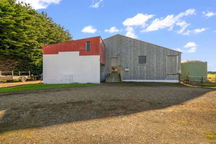 49 Roslyn Road Roslyn Bush_6