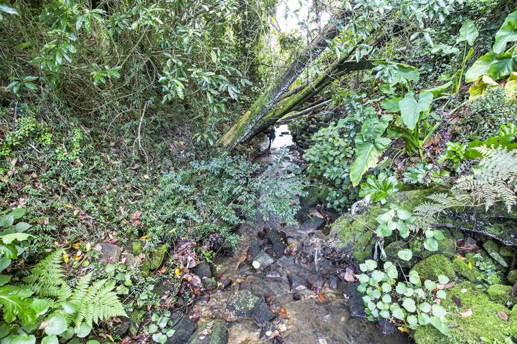 1 Kelvin Place Hamilton East_14