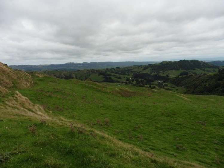 2837 State Highway 4 Aria_22