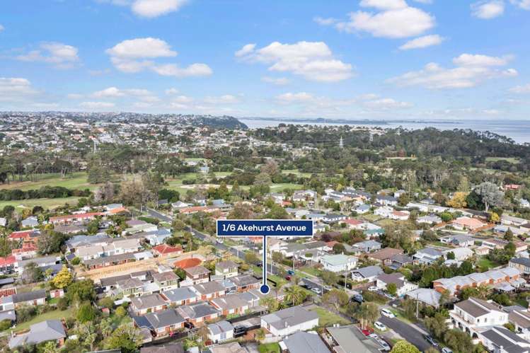 1/6 Akehurst Avenue New Lynn_15