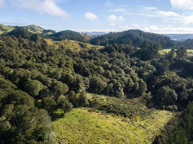 2010 Te Wharau Road Te Wharau_7