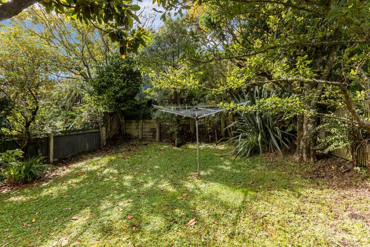 169 Ohiro Road Brooklyn_18