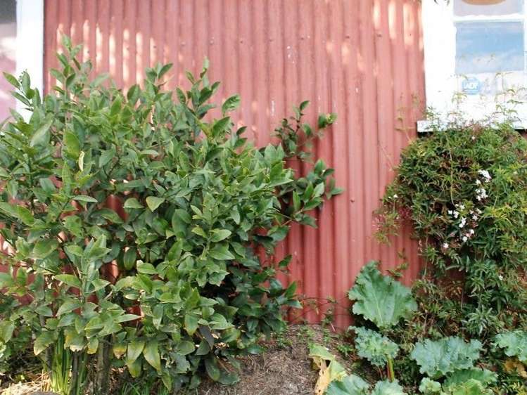 172 Beach Road Kaikoura_15