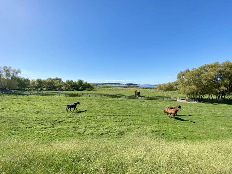 328 Hokio Beach Road Hokio Beach_23