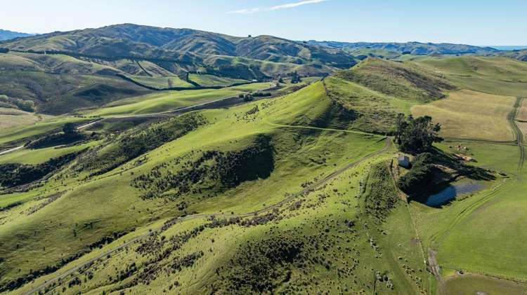 324 Reeces Road Omihi_8