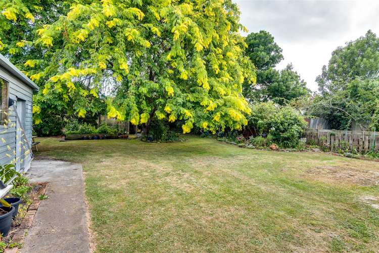 41 Jellicoe Street Waipukurau and Surrounds_22