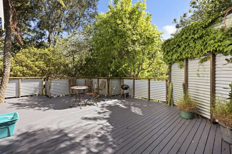 64 Norway Street Aro Valley_4