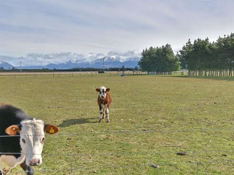 509 Browns Rock Road Oxford_19