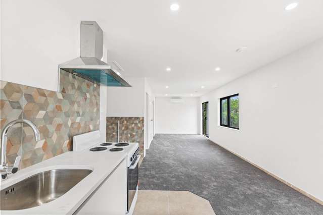 Birdwood Road Pukekohe_4