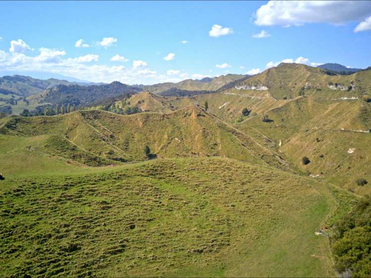 637 Makakahi Road Ruatiti_9