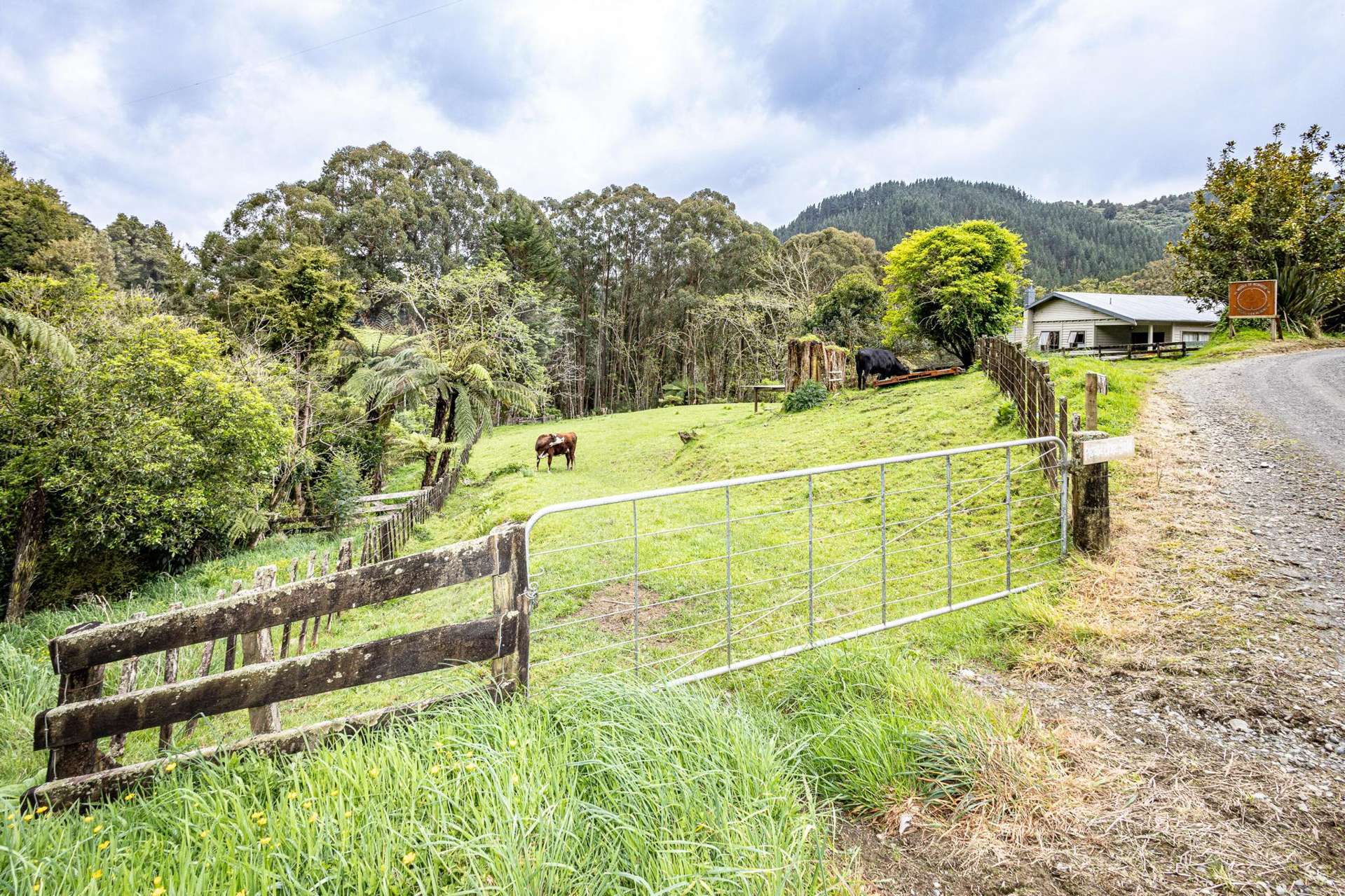 619 Kirikau Valley Road Taumarunui_0